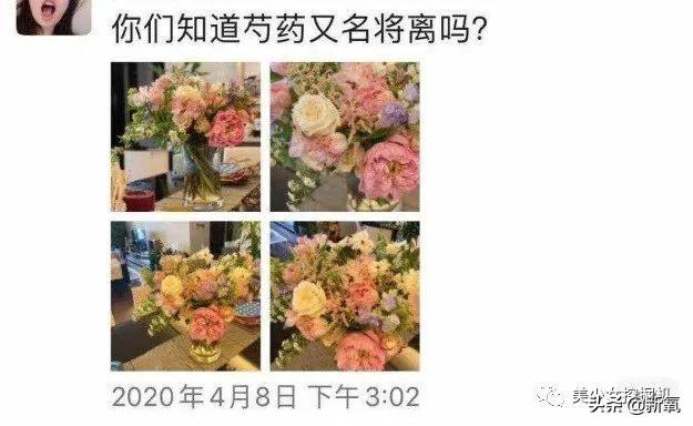 雪梨半夜在家偷笑是为何?
