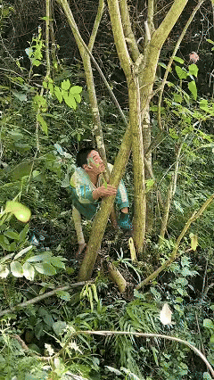 陕西兄妹，兄靠爬行养家，妹凭微光奋进，哥哥看到妹妹奖状后泪崩