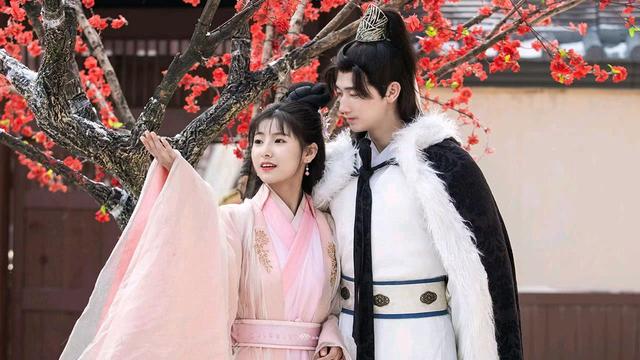 《佳偶自天成》青年新贵陆沉渊求娶骠骑大将军之女江雨柔轰动京城