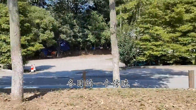 小小说：媳妇与公公