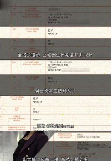 张柏芝三胎儿子姓名被曝光,儿子与父亲无法律关系