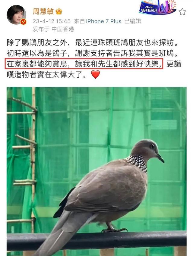 周慧敏:与倪震结婚14年,却被传净身出户,如今婚姻状况如何了?