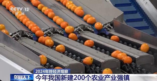 2024年终经济观察丨告别“提篮小卖” 跟着“甜度地图”让甜蜜走向世界