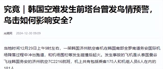 韩国空难除鸟群撞机外，人为因素也很大，韩国大妈目睹坠毁全过程