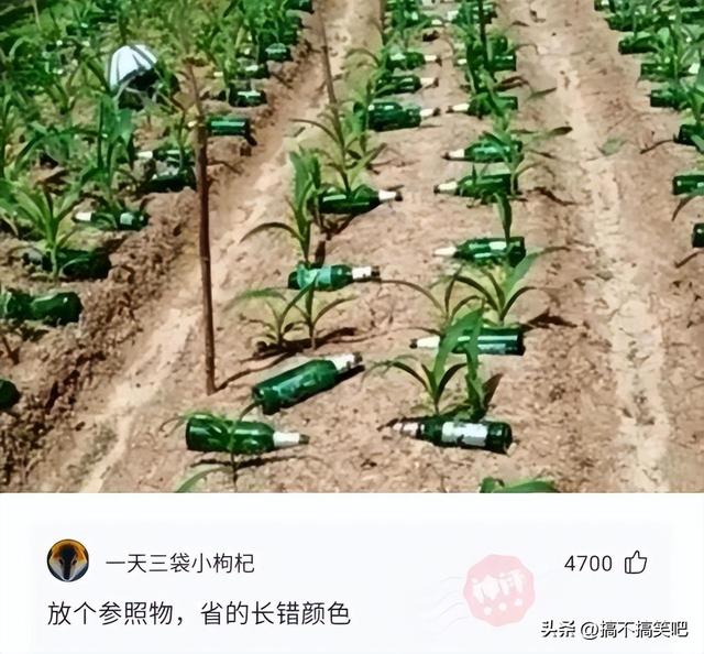 晚自习突然断电,趁机我亲了班花一下,谁料她低声告诉我一个秘密