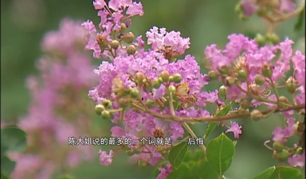 相处三年,女友一声不吭离他而去?真相令人大跌眼镜