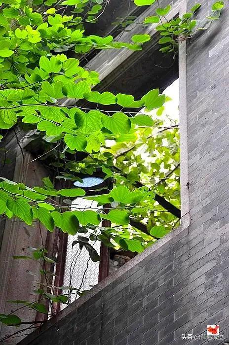 这座闻名西关的民国“奇花别墅”,竟是“一代赌王”傅老榕故居