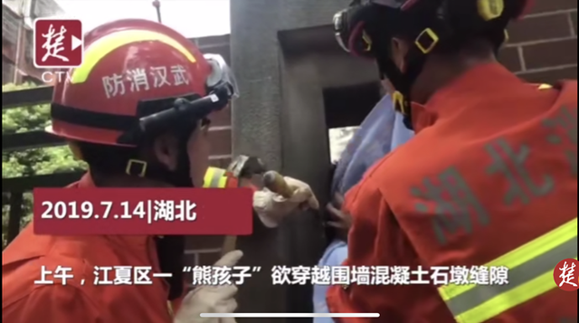 34楼“趴墙走”众人捏把汗 网友：欢迎收看“倒霉熊”暑假系列