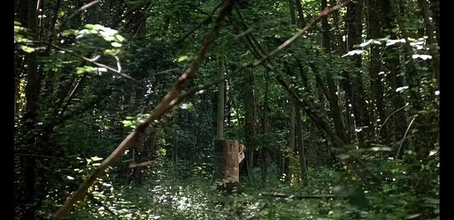 法国开放电影《野兽》:人性兽性冲动与理智挣扎