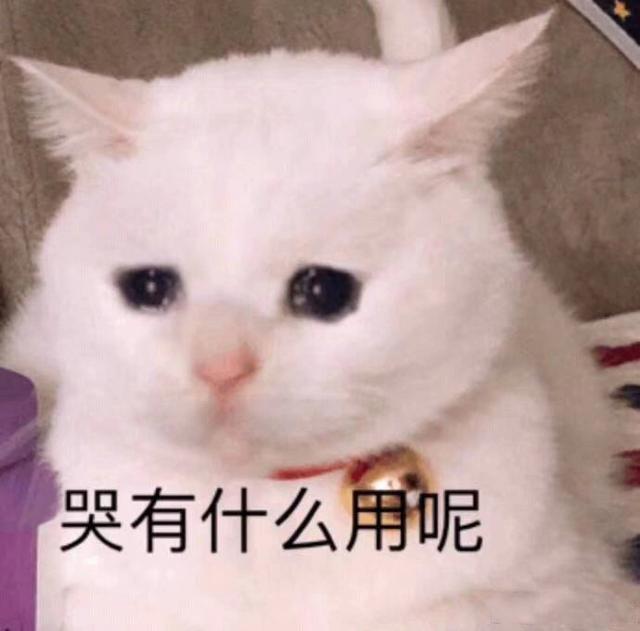 你家的“她”是女王还是公主?
