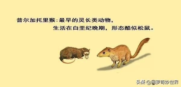 恐人:被我们祖先击败的最强对手
