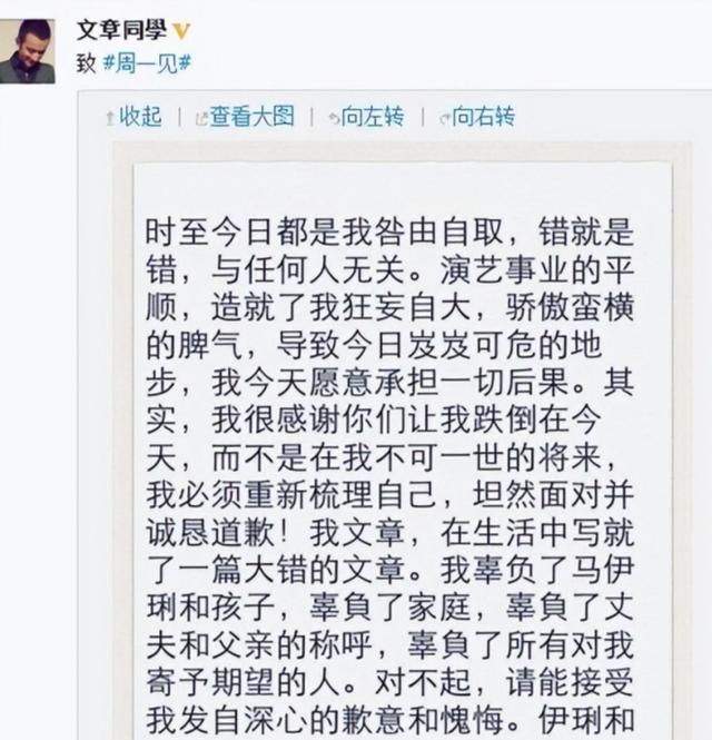 马伊琍:爱情婚姻都有泪,离婚后活成大女主,让管虎、文章后悔