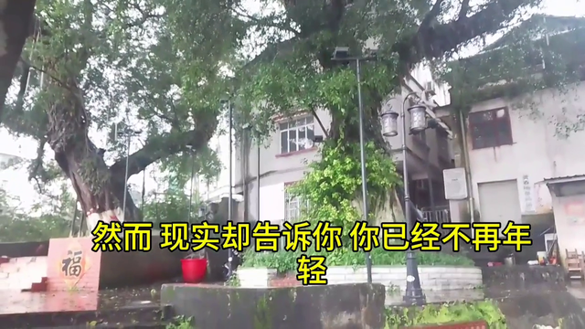 1988年的龙,虚岁36岁了,不知不觉已经36岁了
