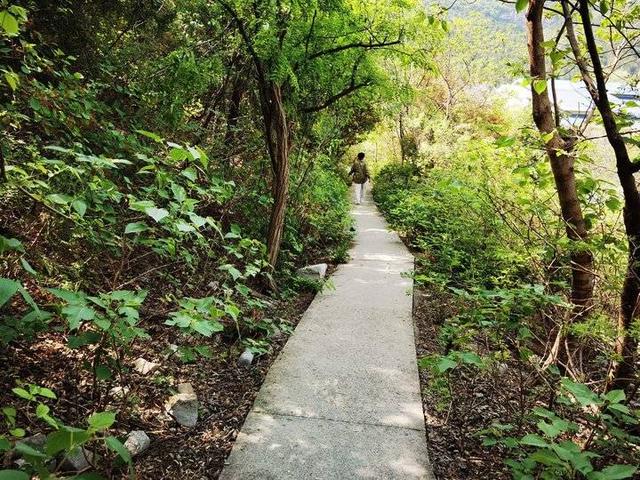 山路十八弯