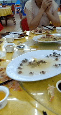 晚自习突然断电,趁机我亲了班花一下,谁料她低声告诉我一个秘密
