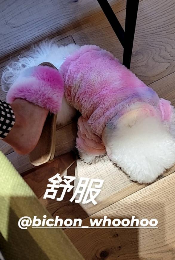 40岁蔡依林晒近照,穿深V秀裙秀火辣事业线,身材颜值还似少女