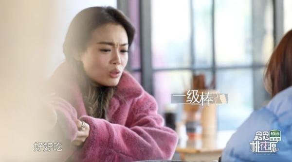 《念念桃花源》容祖儿被面馆老板“表白”,霍汶希“打卡”中医馆