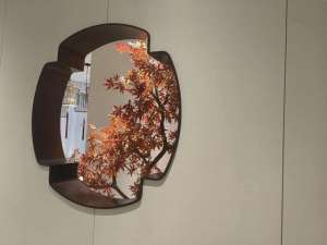 家有贤夫(家有贤夫)