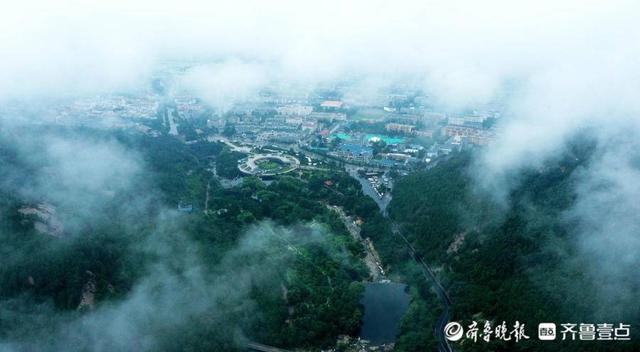 壹图集|最美人间四月天!泰安爬山赏花、露营野餐正当时