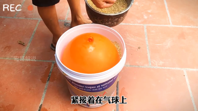 老六制作牛逼的捕鼠神器全过程#家里有老鼠怎么办