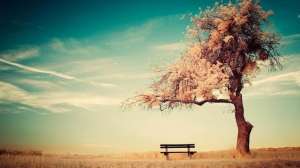 如风往事(散文：往事如风)