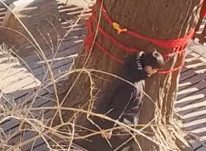 盗墓笔记李易峰(封禁2年后，李易峰近照曝光，低头认错，求神拜佛)