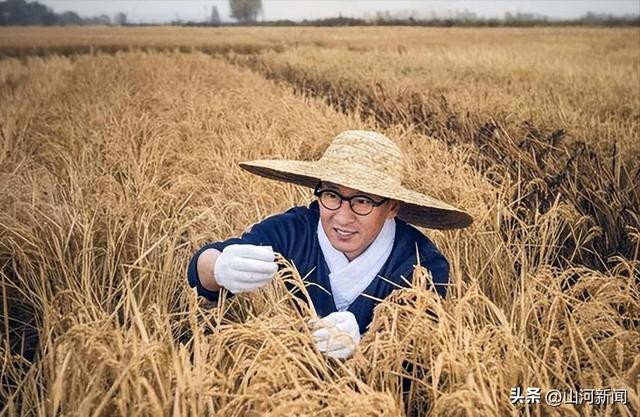 54岁周杰近况:父母双亡太心酸,无戏可拍,跑到乡下种高端大米