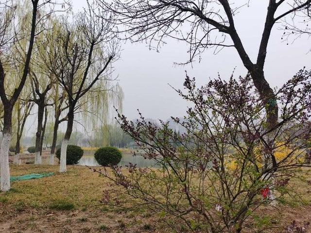 三月里的小雨