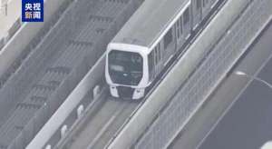 日本百合(日本东京轨道交通百合鸥线停电 约200名乘客从高架桥上疏散)