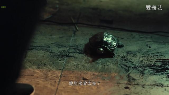 《青春禁忌游戏之灵魂交换》：影评