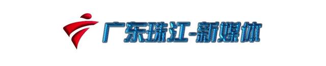 「每日听首粤语歌」《偶遇》林志美甜美灵动的声线，听醉了一代人