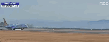 韩国空难除鸟群撞机外，人为因素也很大，韩国大妈目睹坠毁全过程