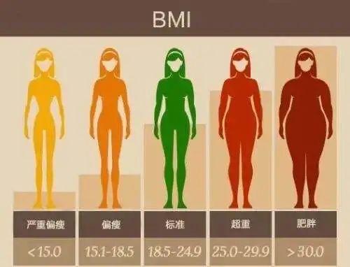 看了好身材标杆程潇的体脂率，我惊了