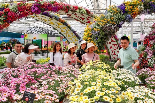 2024北京春季新优花卉品种展示推介会举办