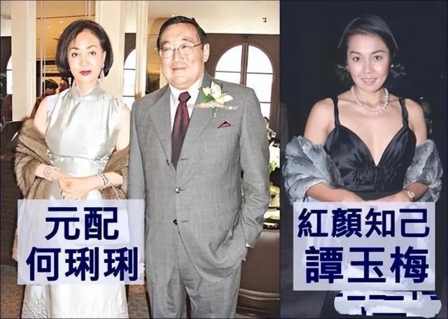 何丽丽:家族风云中的坚韧玫瑰