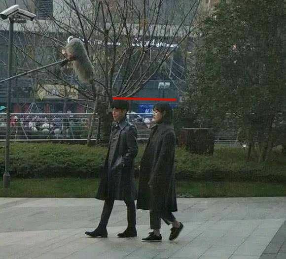 罗云熙有177cm?和同组女演员对比,暴露真实身高