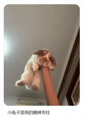 猫式(解锁【猫式养生法】：气血不足的你，真的可以一边保持慵懒，一边充满活力)