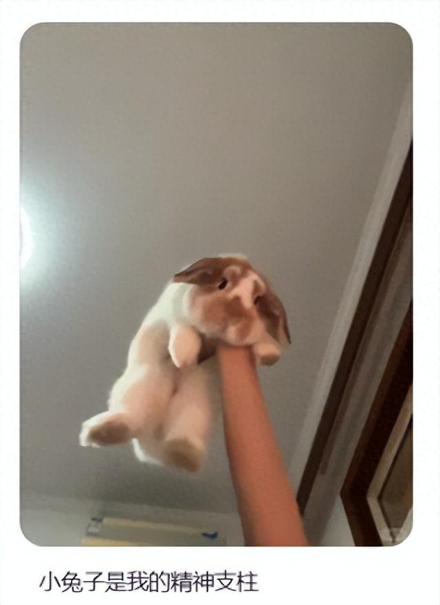 解锁【猫式养生法】:气血不足的你,真的可以一边保持慵懒,一边充满活力