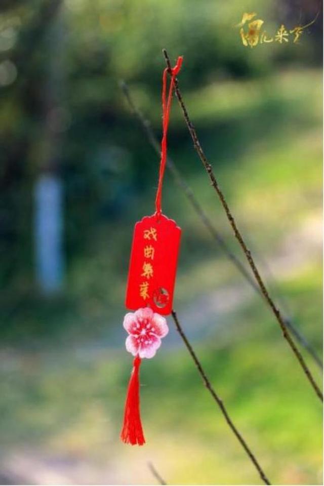 角儿来了|问梅东山