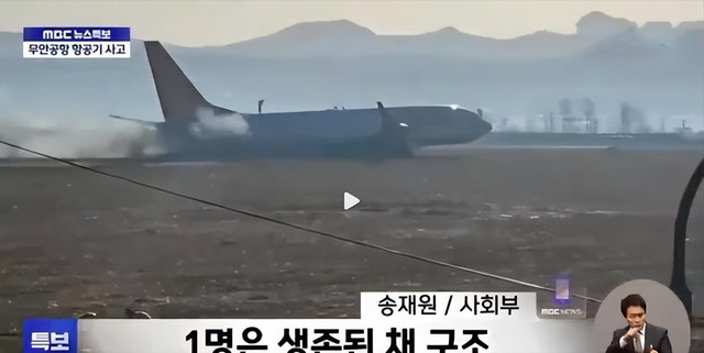 韩国空难除鸟群撞机外，人为因素也很大，韩国大妈目睹坠毁全过程