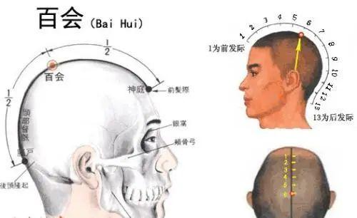 湿气重,拍打这五个部位吧