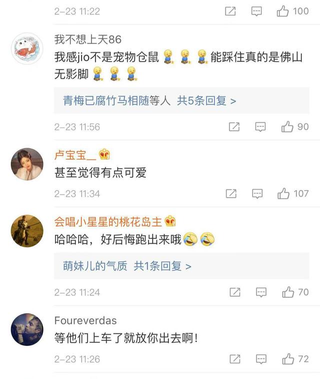 小老鼠地铁内被踩住尾巴,“无辜”眼神萌翻众网友