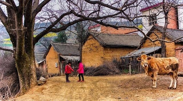 85年我娶了邻村没人要的哑巴,被全村笑话,没想到全家却因她改命