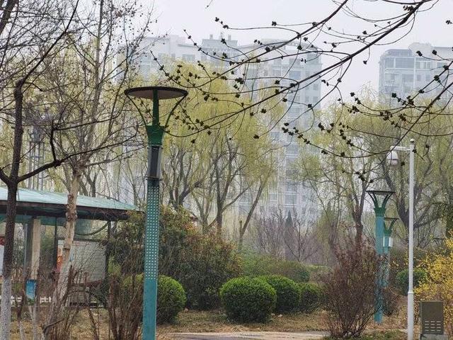 三月里的小雨