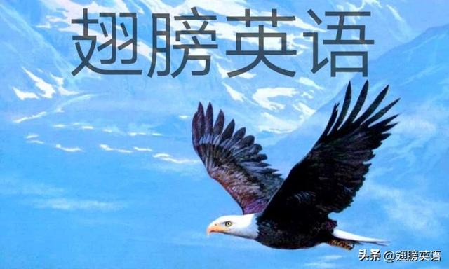 take off用法解析