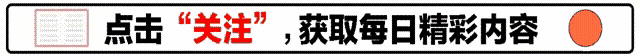 从“蜡笔小撒”到“机器人小撒”,撒贝宁承包了我一年的笑料