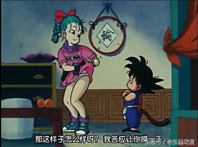 王宝强咱不哭，贝吉塔第一集就被布尔玛戴了绿帽