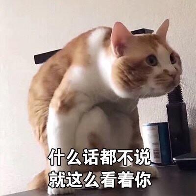 韩国瑜真是民进党“克星”!因这一件事,就把蔡英文、陈菊、赖清德的丑事都翻出来了