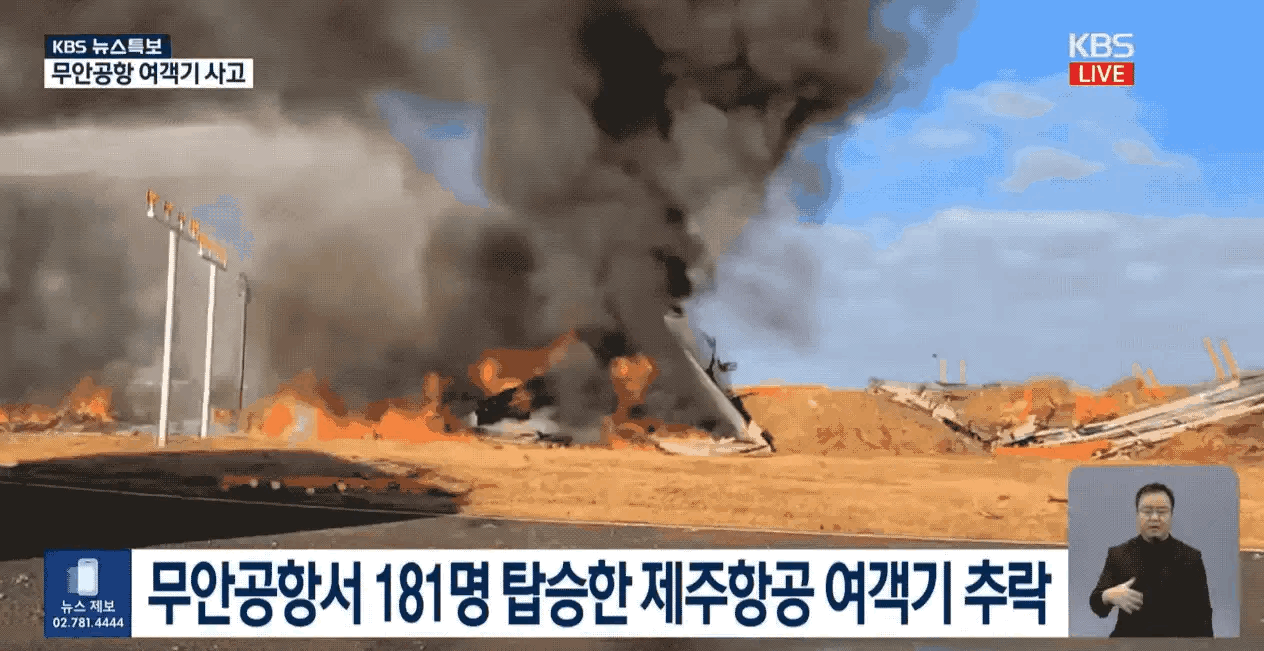 韩国空难除鸟群撞机外，人为因素也很大，韩国大妈目睹坠毁全过程