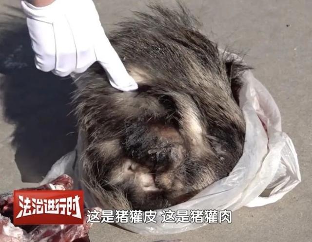 真缺那口肉?北京延庆警方:涉嫌非法狩猎,刑拘!